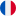 Français (France)